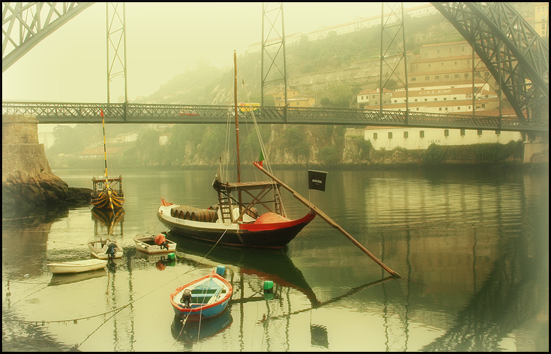 foggy morning in porto i