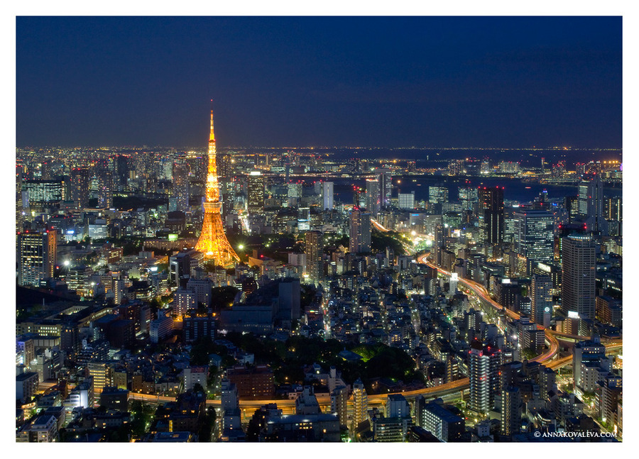 Tokyo. The tower.  | evening, view from the top, megalopolis, skyscraper, night, lights, panorama, Tokyo