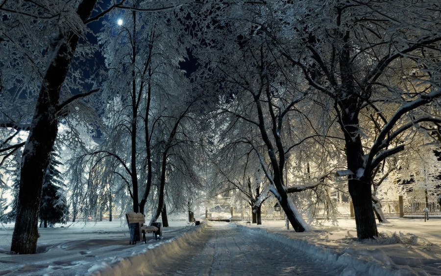 A moonlit night at the park