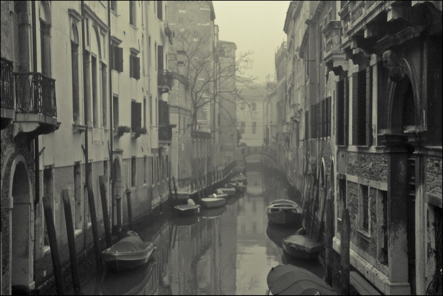 Tight Venetian fog