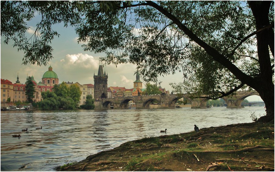 The Charles Bridge