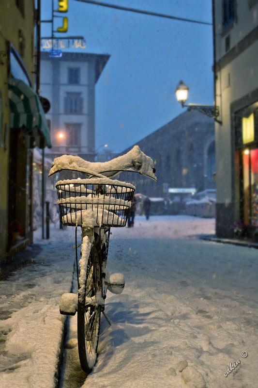 Frosen bicycle