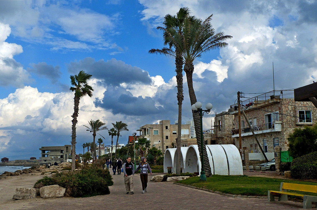 Palms on the beach