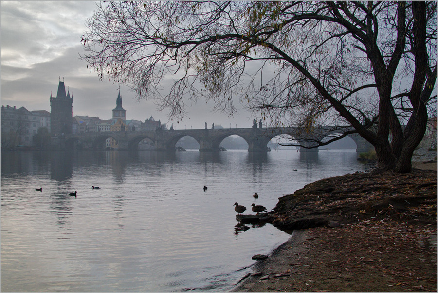 The old stone bridge