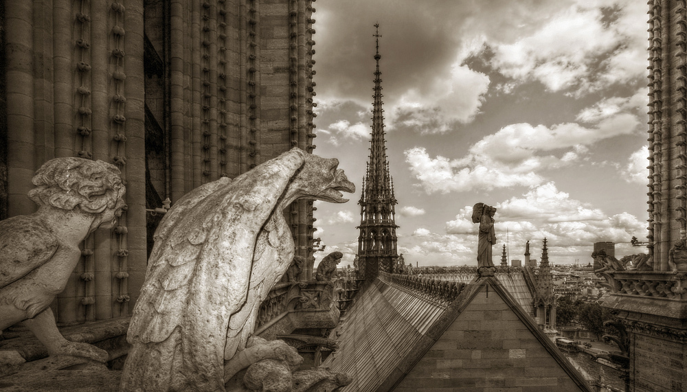 From the roof of Notre-Dame Cathedral