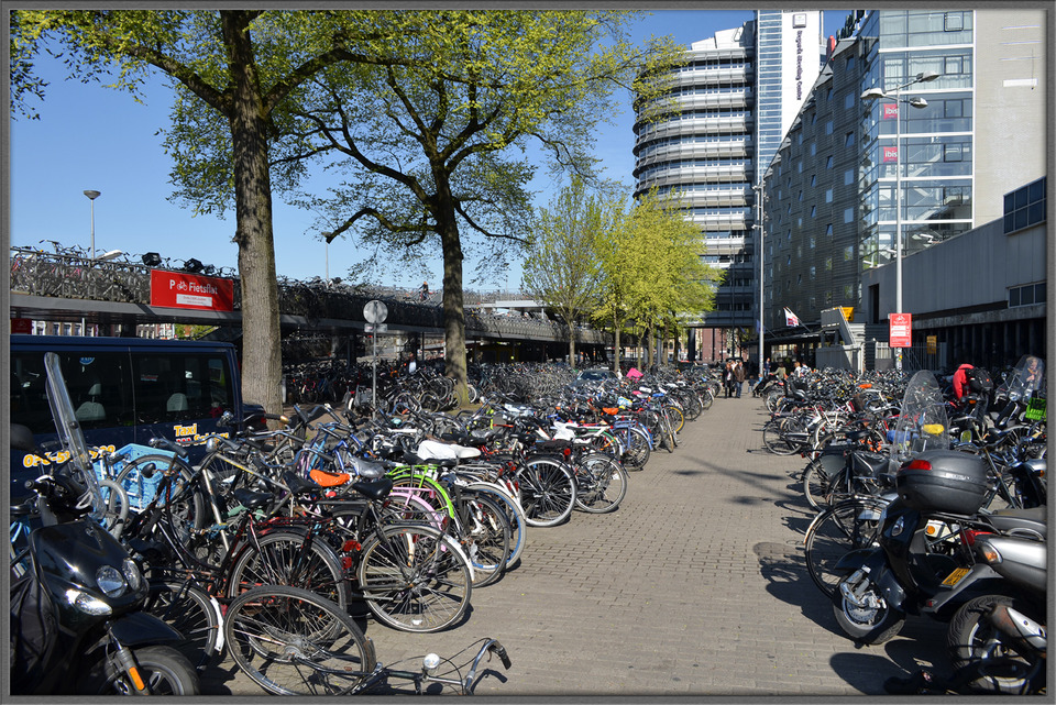 Bicycles, Amsterdam