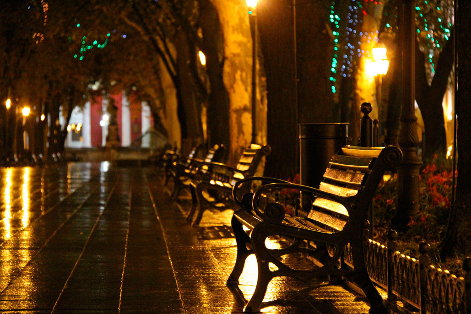 Evening alley