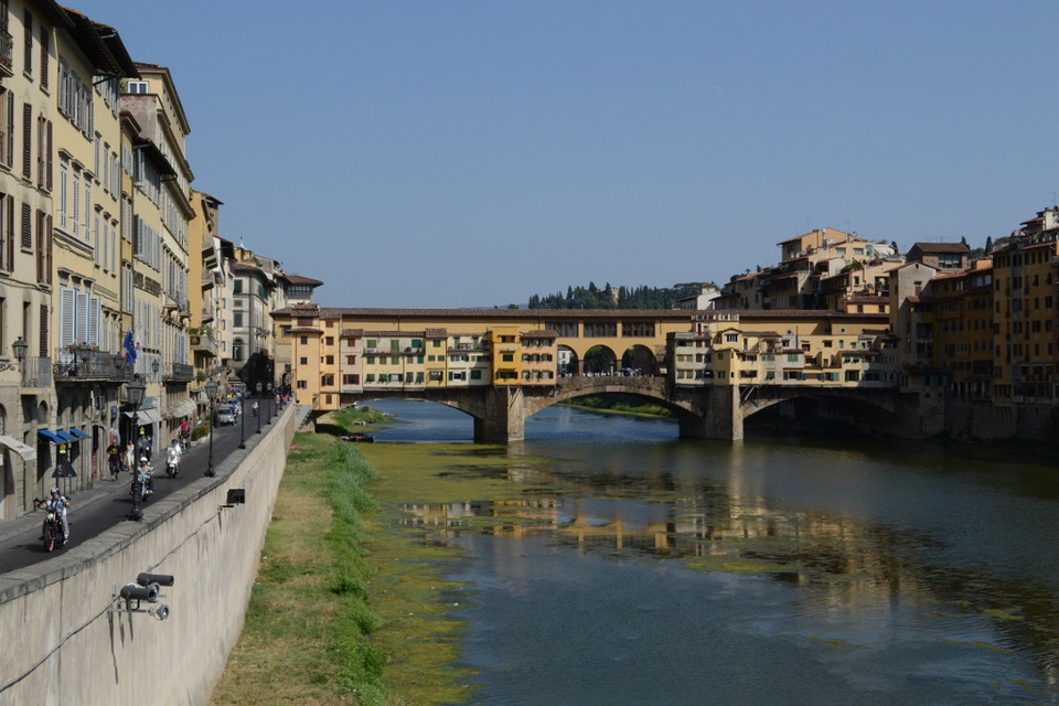 Houses on the bridge