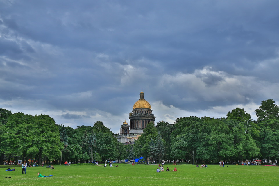 Beautiful lawn in the cebtral park