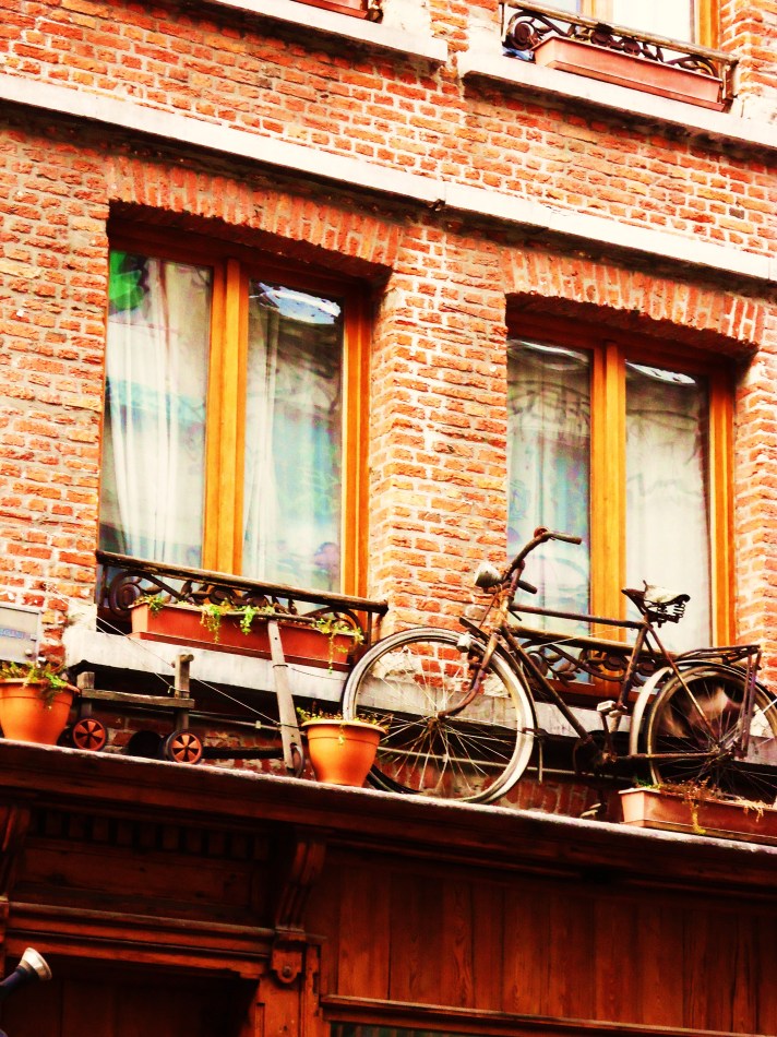 Old bicycle before the window