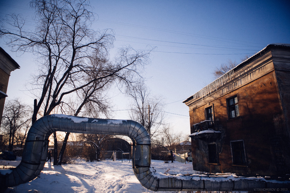 Yard in winter