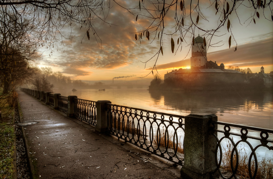 Foggy dawn by the river